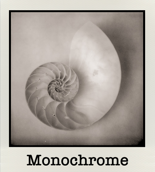 monochrome-gallery