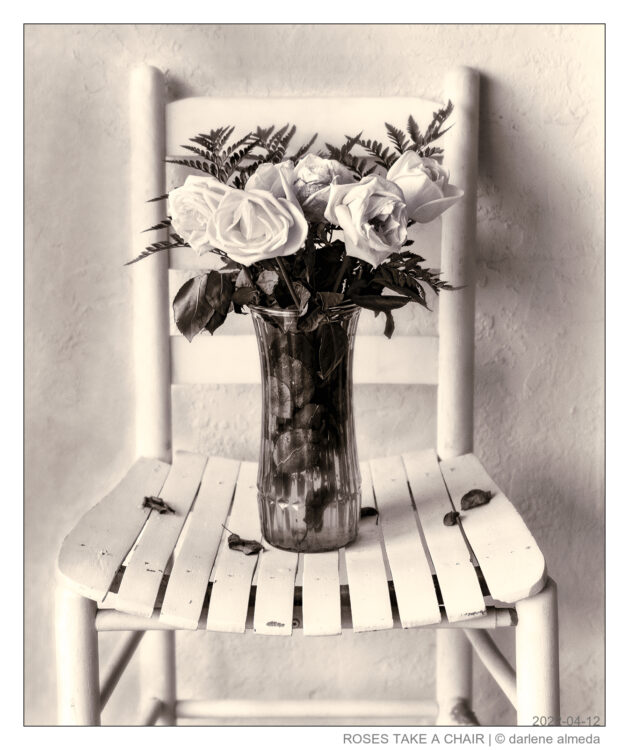 ROSES TAKE A CHAIR