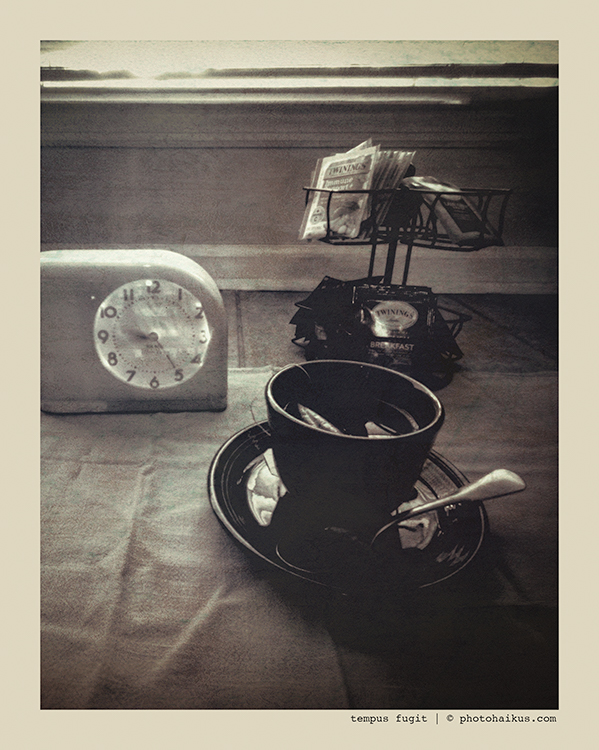 TEMPUS FUGIT