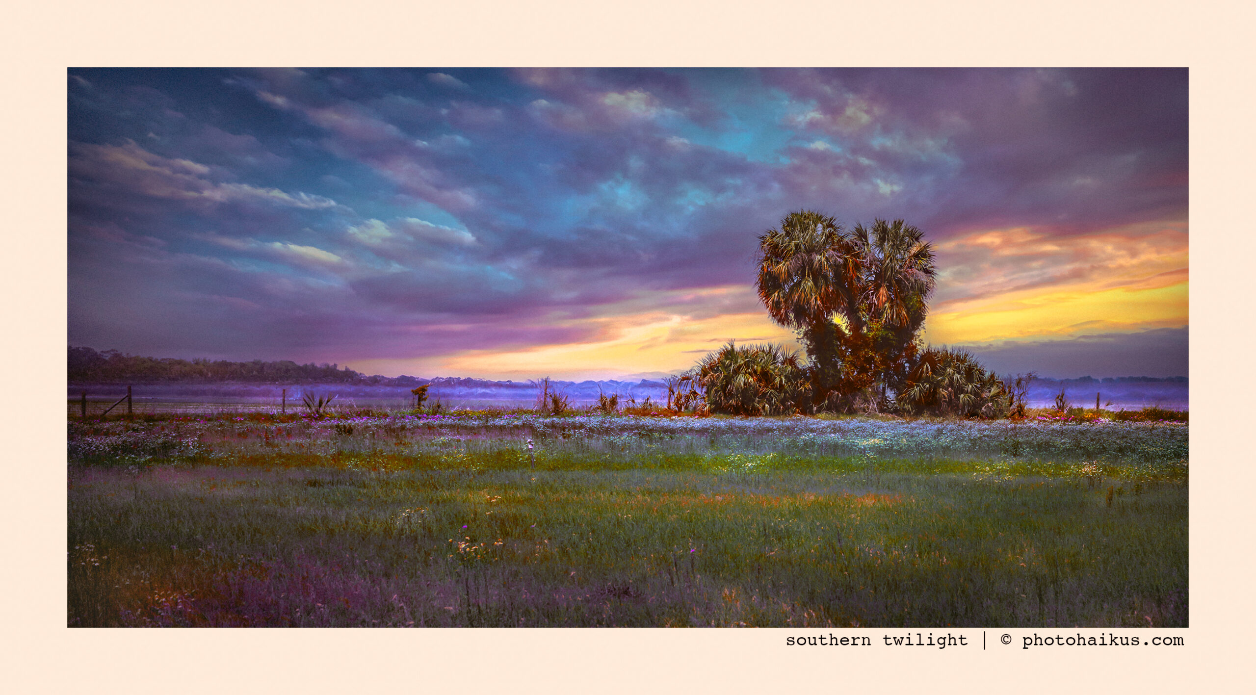 SOUTHERN TWILIGHT