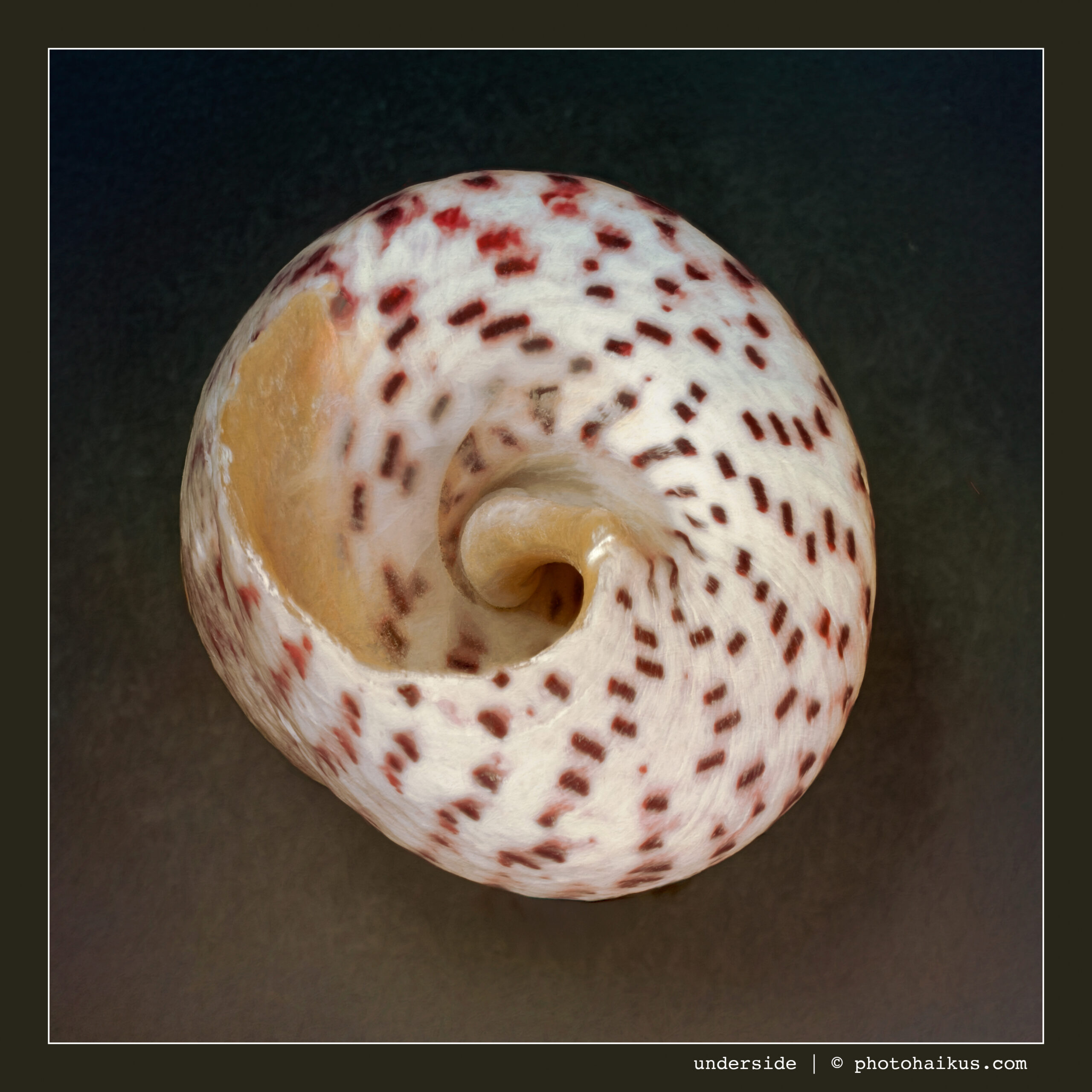 UNDERSIDE