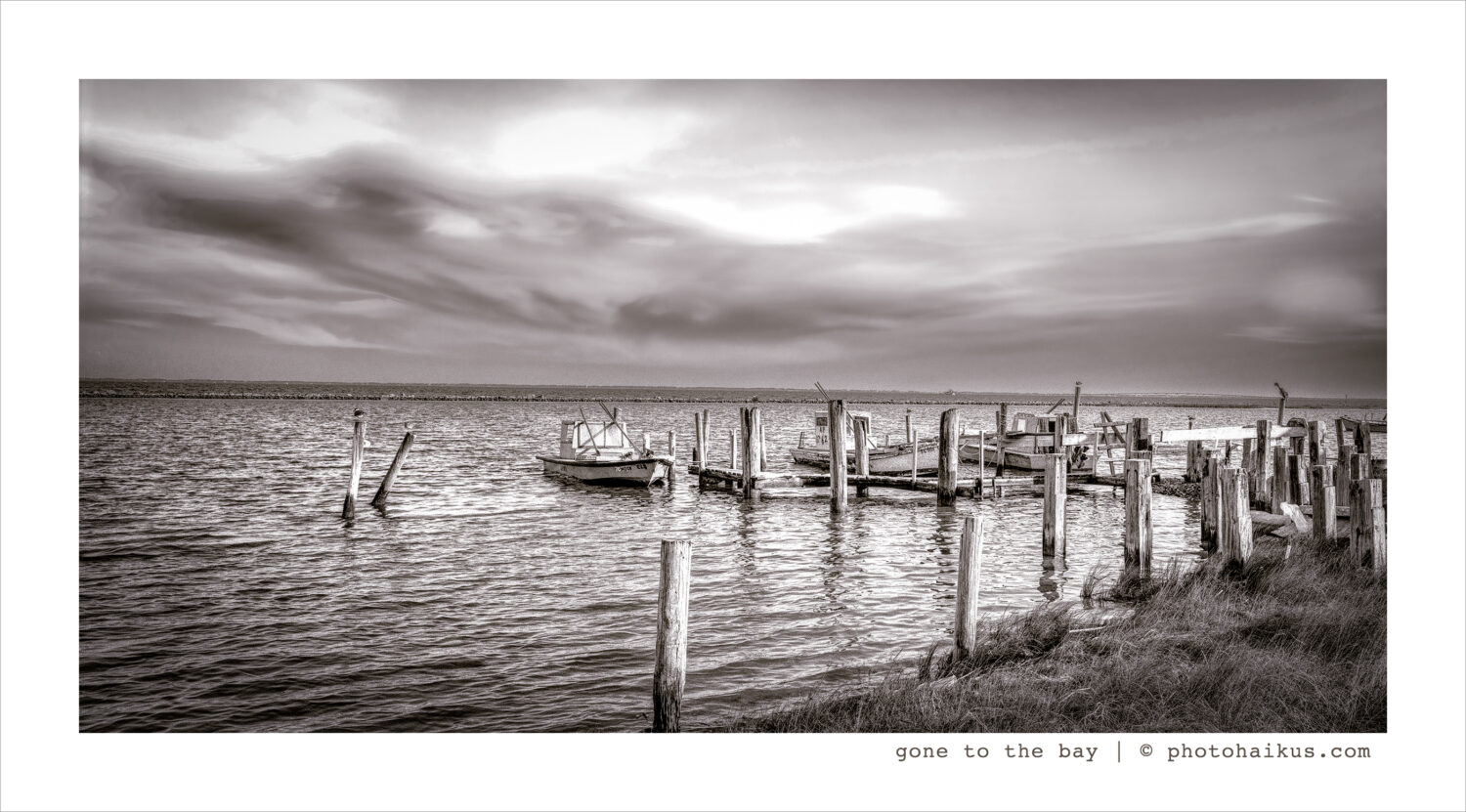 GONE TO THE BAY