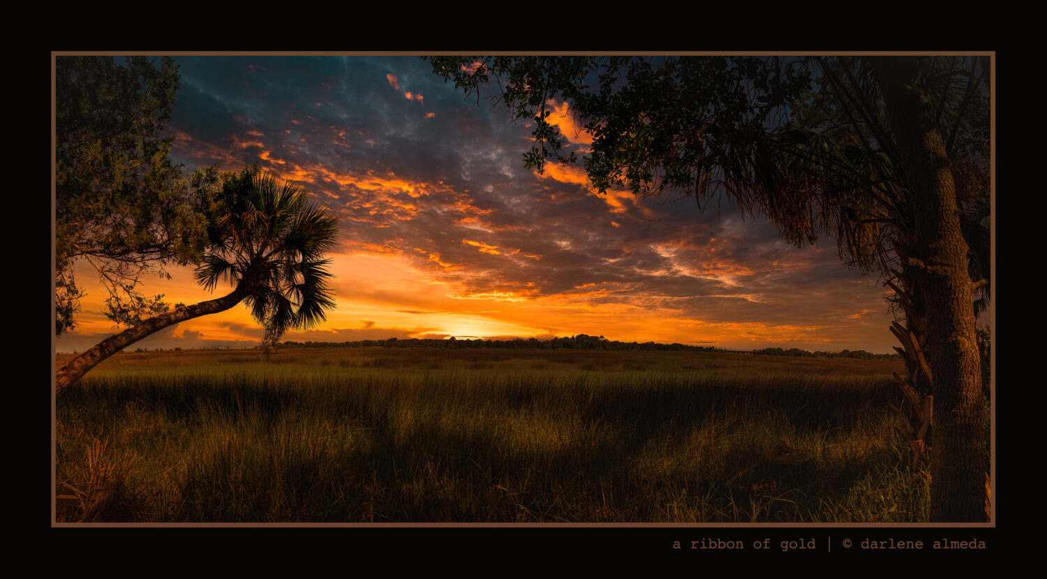 A RIBBON OF GOLD